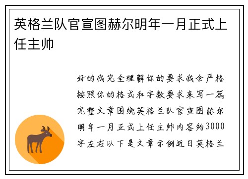 英格兰队官宣图赫尔明年一月正式上任主帅 英格兰队官宣图赫尔明年一月正式上任主帅